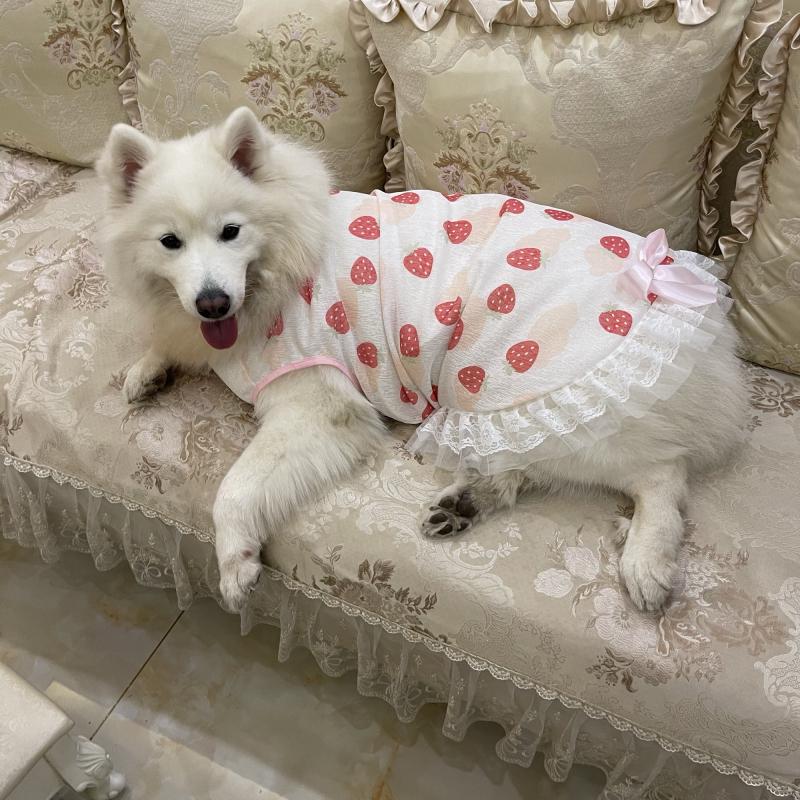 Apparel Big Pet Dog Clothes Summer Large Dog Dress Skirt Corgi Shiba Inu Samoyed Husky Labrador Golden Retriever Dog Costume Apparel
Apparel Big Pet Dog Clothes Summer Large Dog Dress Skirt Corgi Shiba Inu Samoyed Husky Labrador Golden Retriever Dog Costume Apparel