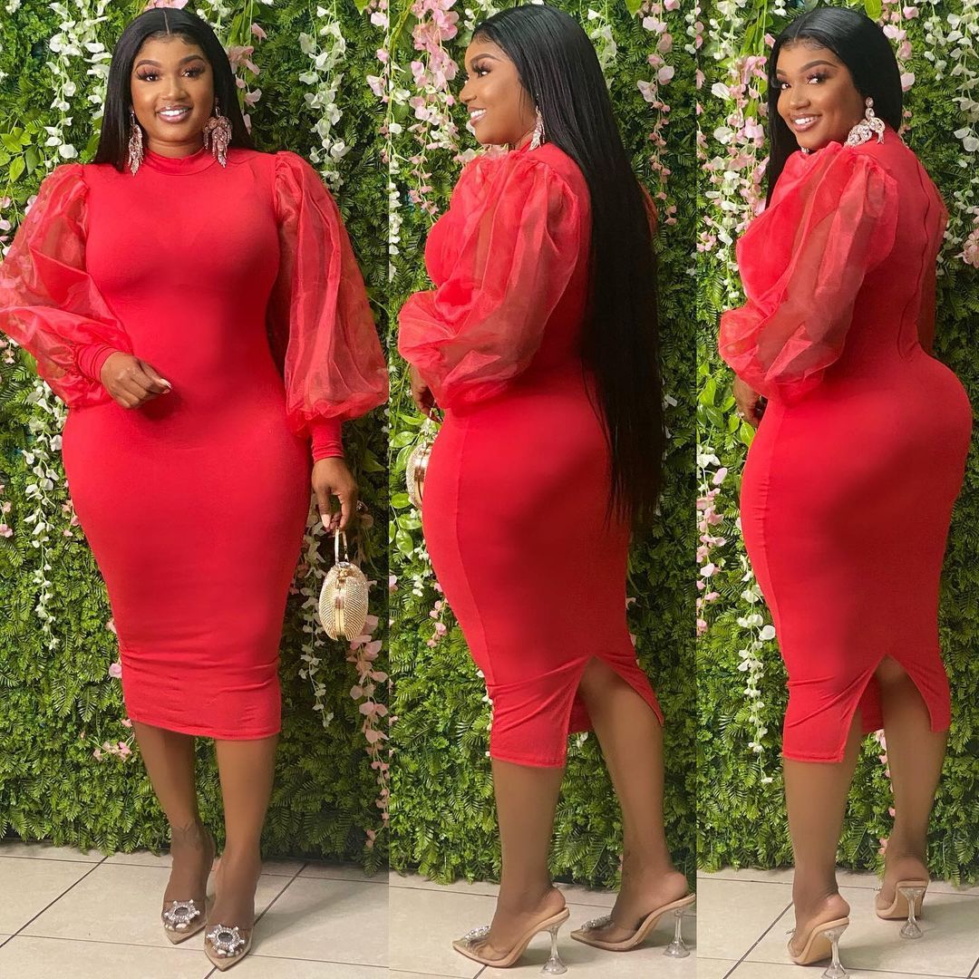 Women Solid Color Plus Size Women's Gauze See-Through Lantern Sleeve Dress 3 Colors In Stock