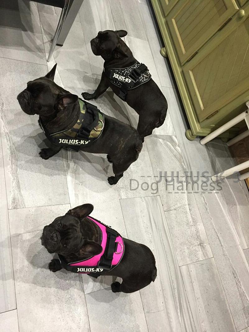 Crafts New Arrival Nylon Fabric Reflective French Bulldog Small Medium Big Dog Puppy Pet Training julius k9 Harness Vest of Corgi
Crafts New Arrival Nylon Fabric Reflective French Bulldog Small Medium Big Dog Puppy Pet Training julius k9 Harness Vest of Corgi
