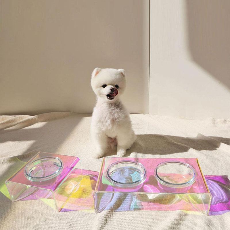Feeders Gradient Acrylic Colorful Pet Bowl Cat And Dog Suitable For Small Medium Dogs Eating Bowl Chihuahua French Bulldog Dog Supplies
Feeders Gradient Acrylic Colorful Pet Bowl Cat And Dog Suitable For Small Medium Dogs Eating Bowl Chihuahua French Bulldog Dog Supplies