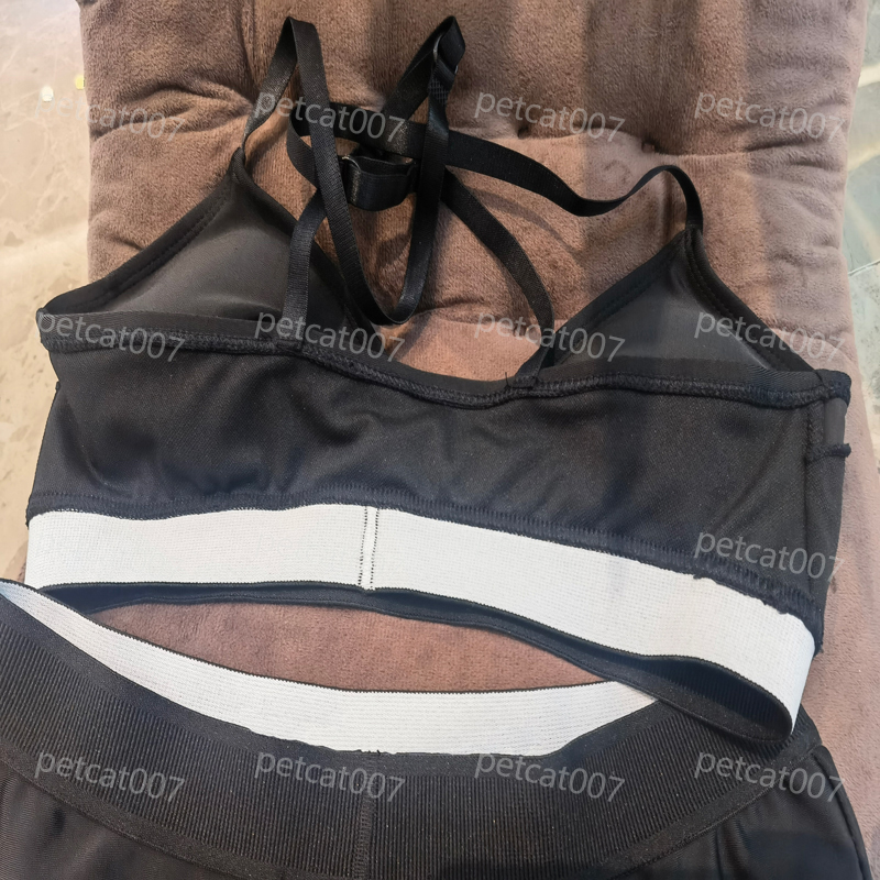 High Quality Swimwear Fashion V Neck Halter Bra Low Rise Panties Comfortable For Summer Beach Surfing Holiday Underwear Bikini