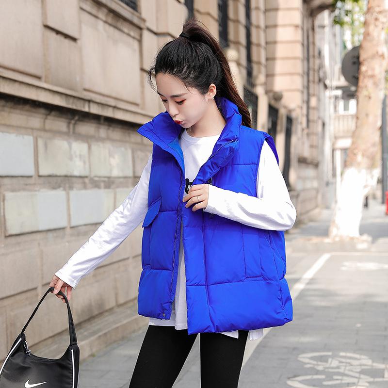 Women's Vests 2023 Autumn And Winter Vest Women's Sleeveless Jacket Waistcoat Loose Lapel Bread Down Cotton, Black
Women's Vests 2023 Autumn And Winter Vest Women's Sleeveless Jacket Waistcoat Loose Lapel Bread Down Cotton, Black