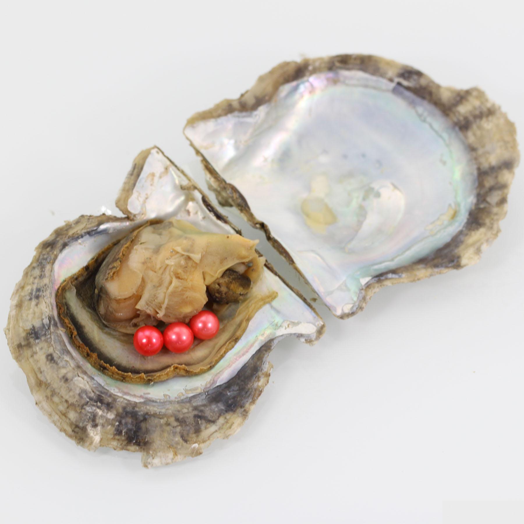 Pearl Teiplets Round Akoya Oyster Wholesale 20Pcs Saltwater With 67Mm Inside 28 Colors Avaliable Drop Delivery Jewelry Dhger
Pearl Teiplets Round Akoya Oyster Wholesale 20Pcs Saltwater With 67Mm Inside 28 Colors Avaliable Drop Delivery Jewelry Dhger