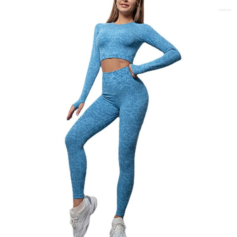 Active Sets Yoga Gym Seamless Sports Long Sleeve Shirt Suit High Waisted Legging Running Pants Fitness Set Women, Blue
Active Sets Yoga Gym Seamless Sports Long Sleeve Shirt Suit High Waisted Legging Running Pants Fitness Set Women, Blue