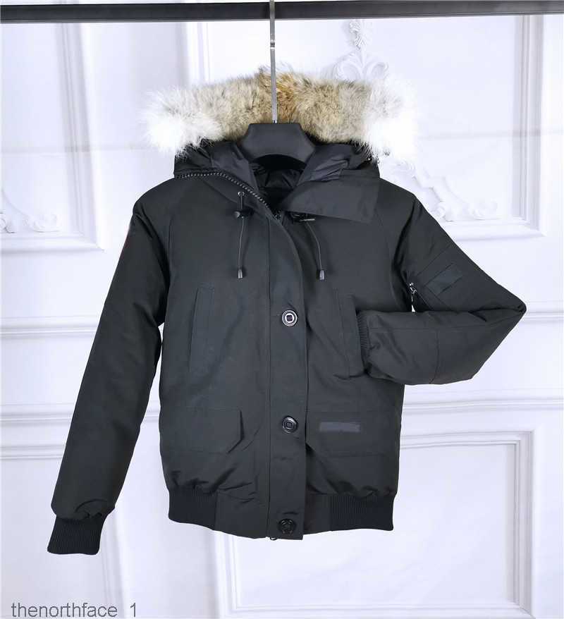 Men's Jackets Canadian Goose Women Down Wolf Fur Collar Feather Down-filled Parkas Hoodie Stylist Windbreaker Winter Coats for Female 3y0jorkmw, No clothing
Men's Jackets Canadian Goose Women Down Wolf Fur Collar Feather Down-filled Parkas Hoodie Stylist Windbreaker Winter Coats for Female 3y0jorkmw, No clothing