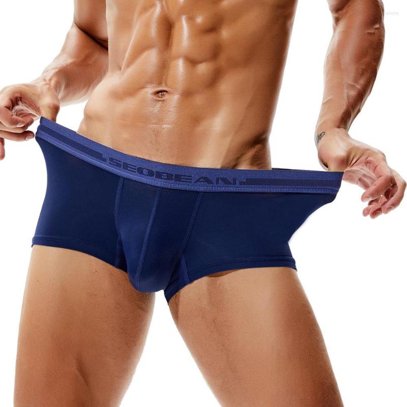 Underpants 2023 Mens Boxershorts Sexy Elephant Nose Boxer Trunk Pouch Enhancing Low Waist Shorts Underwear Ssisy Panties, Black
Underpants 2023 Mens Boxershorts Sexy Elephant Nose Boxer Trunk Pouch Enhancing Low Waist Shorts Underwear Ssisy Panties, Black