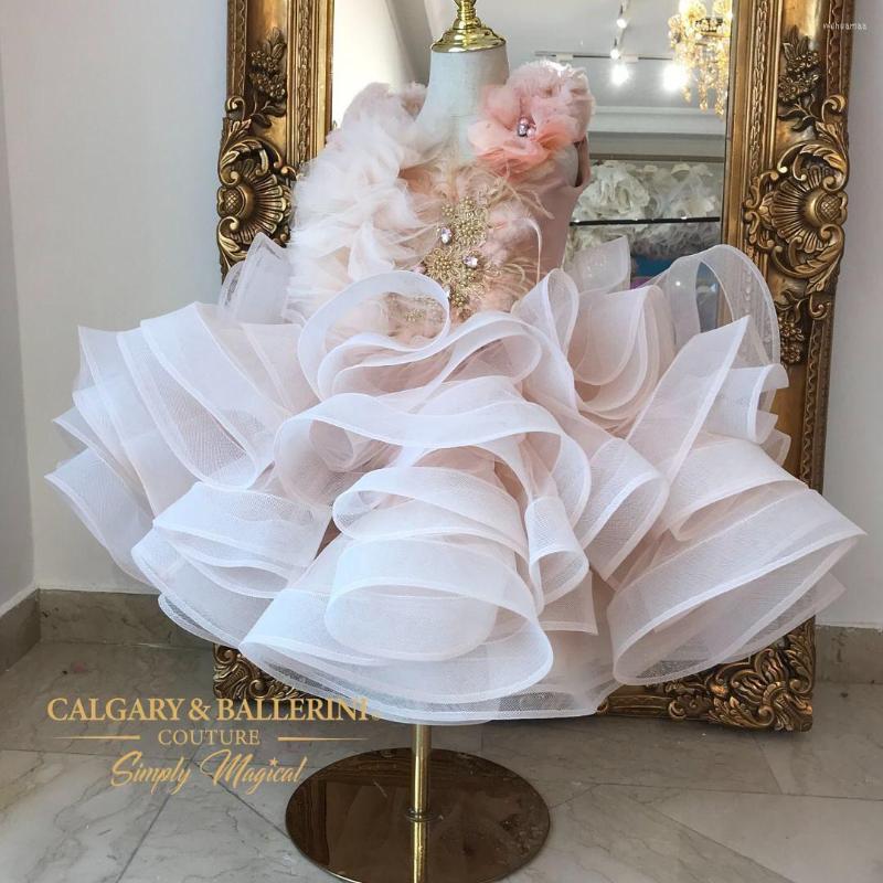 Girl Dresses Blush Pink Pageant Dress For Poshoot Crystal Feather Kids Birthday Party Wear Flower Weddings, Black
Girl Dresses Blush Pink Pageant Dress For Poshoot Crystal Feather Kids Birthday Party Wear Flower Weddings, Black
