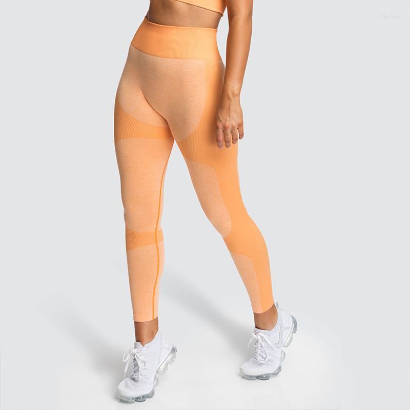 Active Pants Fitness Leggings Sport Women Sexy Gym Seamless Leginsy Push Up Jeggings Female Workout High Waist, Sl528bk
Active Pants Fitness Leggings Sport Women Sexy Gym Seamless Leginsy Push Up Jeggings Female Workout High Waist, Sl528bk