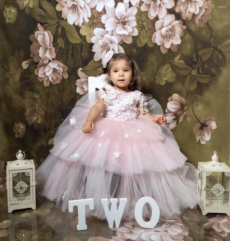 Girl Dresses Little Baby Kids Formal Wear 3D-Applique Beading Flower Girls' Backless Tiered Tulle Birthday Party Pageant Gowns, Beige
Girl Dresses Little Baby Kids Formal Wear 3D-Applique Beading Flower Girls' Backless Tiered Tulle Birthday Party Pageant Gowns, Beige