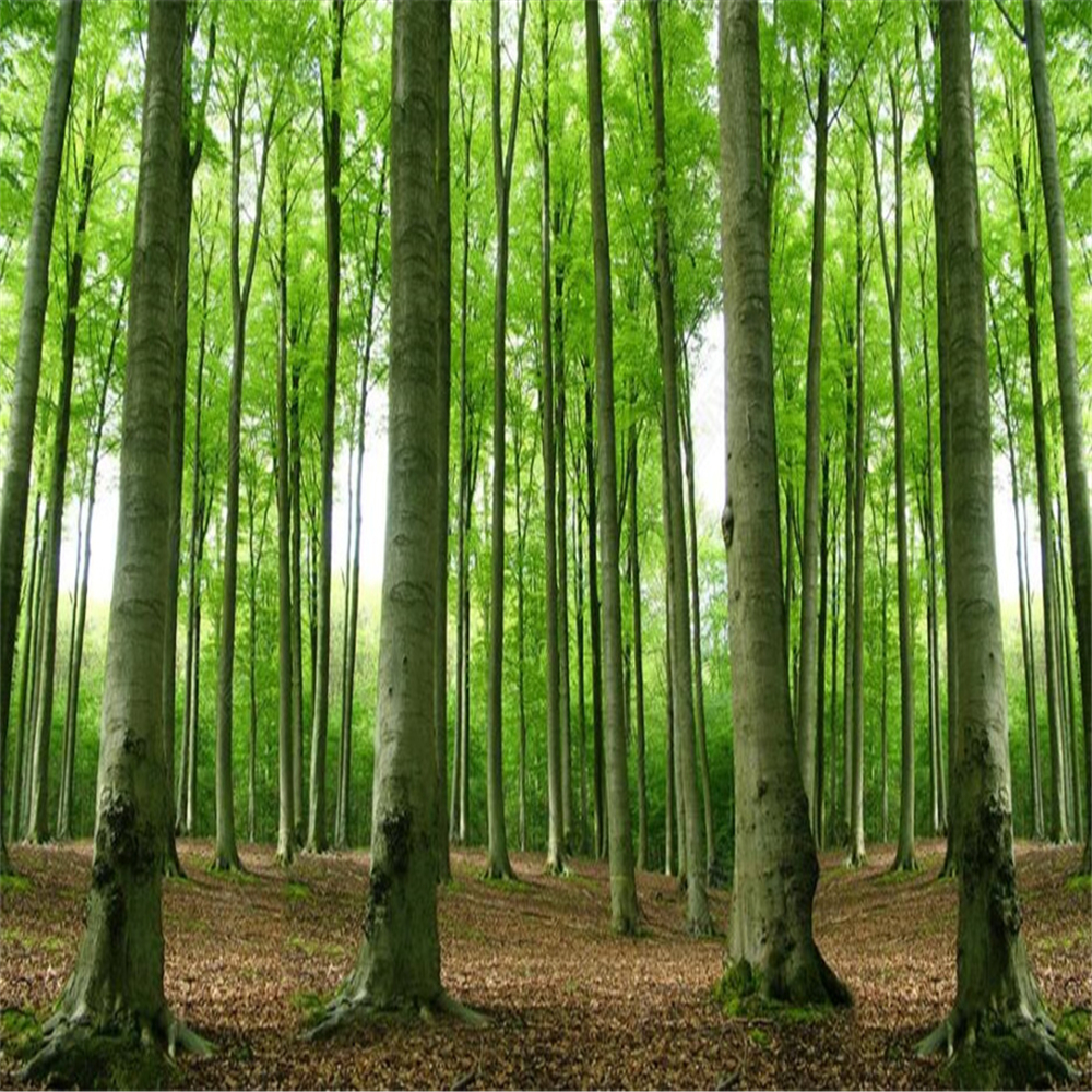 Custom 3d wallpaper Sunshine Forest Natural Scenery 3D Photo Wallpaper Bedroom Home Decor Custom Mural Living Room Sofa Background Wall Wallpaper