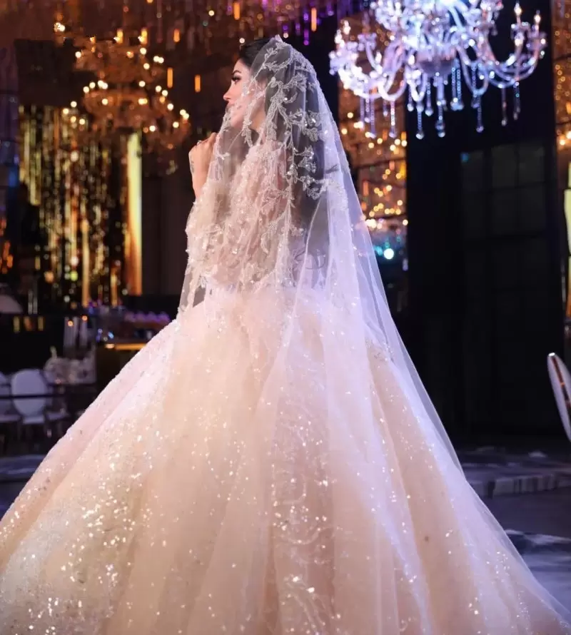 Stunning Princess A E Wedding Gowns For Arabic Women Sheer Long Sleeves Lace Applique Exposed Boning Dubai Bridal Dresses Robe De Marriage 0228Lz