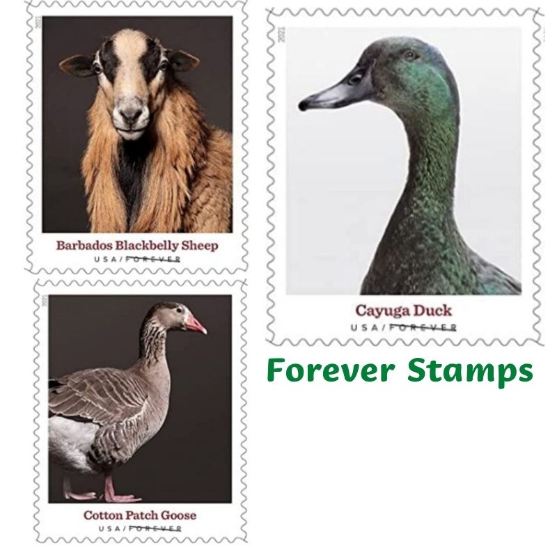 Stamps Class U.S. Animals Theme Booklet Of 20 Post Office Mail Envelopes Letters Postcard Mailing Supplies Invitations Drop Delivery Othel, As details
Stamps Class U.S. Animals Theme Booklet Of 20 Post Office Mail Envelopes Letters Postcard Mailing Supplies Invitations Drop Delivery Othel, As details