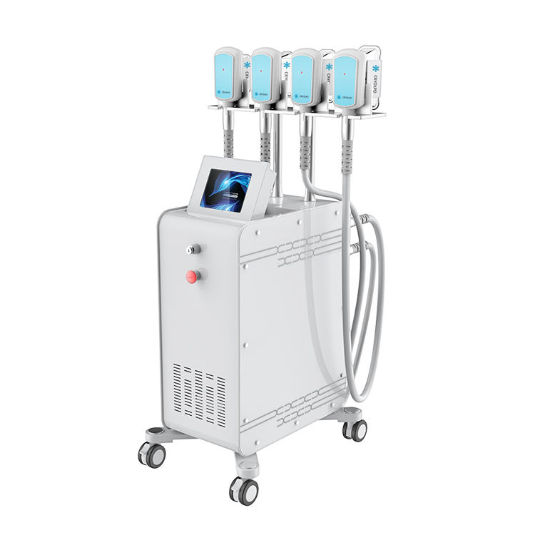 360 Cryolipolysis Fat Freezing Slimming Machines Rf Cavitation Lipo Weight Loss Machine
360 Cryolipolysis Fat Freezing Slimming Machines Rf Cavitation Lipo Weight Loss Machine