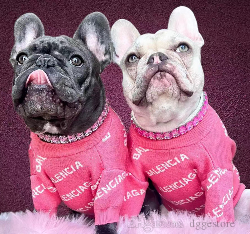 free shipping Designer Clothes Dog Apparel Warm Pet Sweater ic Letter Cat Sweaters Puppy Sweatshirt Winter Coat for Small Dogs Kitten Cats Red S A353