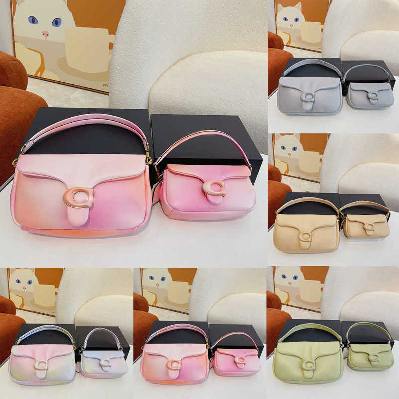 Cross Body Woman Pillow Tabby Bags Sheepskin designer bags luxury shading cloud handbag soft pleated purse wallets fashion shoulder bag 230201, Green
Cross Body Woman Pillow Tabby Bags Sheepskin designer bags luxury shading cloud handbag soft pleated purse wallets fashion shoulder bag 230201, Green