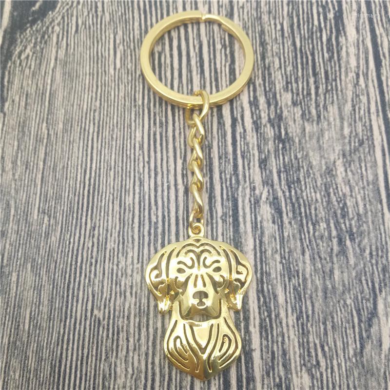 Keychains Vizsla Key Chains Fashion Pet Dog Jewellery Hungarian Car Keychain Bag Keyring For Women Men
Keychains Vizsla Key Chains Fashion Pet Dog Jewellery Hungarian Car Keychain Bag Keyring For Women Men