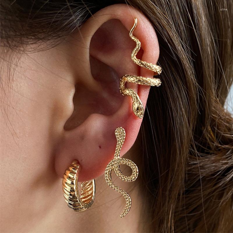 Stud Earrings 3pcs/set Latest Fashion Women Set Gold Silver Color Snake Shape Clip On Hiphop Style Jewelry
Stud Earrings 3pcs/set Latest Fashion Women Set Gold Silver Color Snake Shape Clip On Hiphop Style Jewelry