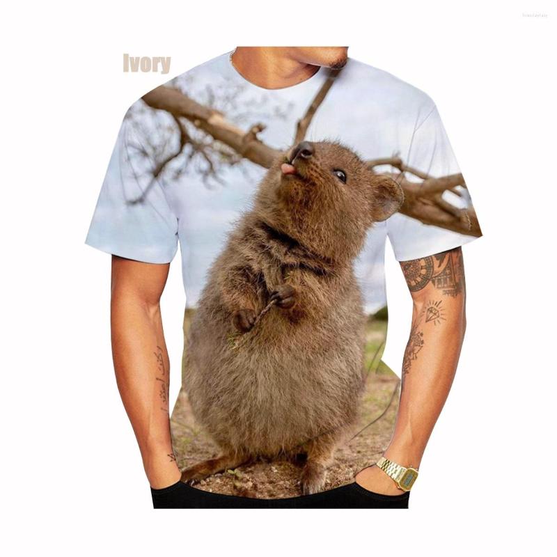 Men' T Shirts 2023 Fashion Animal Wombat 3D Print Women And Men Cute T-shirt Short Sleeve Tops Size XS-6XL, Beige
Men' T Shirts 2023 Fashion Animal Wombat 3D Print Women And Men Cute T-shirt Short Sleeve Tops Size XS-6XL, Beige