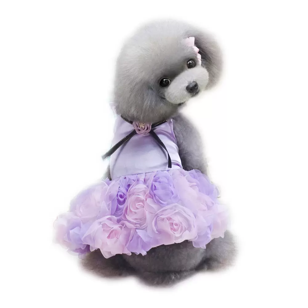 Dog apparel Pet Dog Rose Wedding Dress Puppy Princess Lovely Clothes Cloth for Small Dog Chihuahua Yorkshire Spring Summer, Purple
Dog apparel Pet Dog Rose Wedding Dress Puppy Princess Lovely Clothes Cloth for Small Dog Chihuahua Yorkshire Spring Summer, Purple