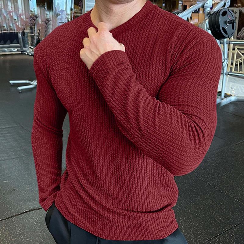 Men's T Shirts Male Autumn And Winter Bottoming Shirt Solid Color Pullover Twsted Flower Round Neck Long Sleeve Cotton Spandex
Men's T Shirts Male Autumn And Winter Bottoming Shirt Solid Color Pullover Twsted Flower Round Neck Long Sleeve Cotton Spandex