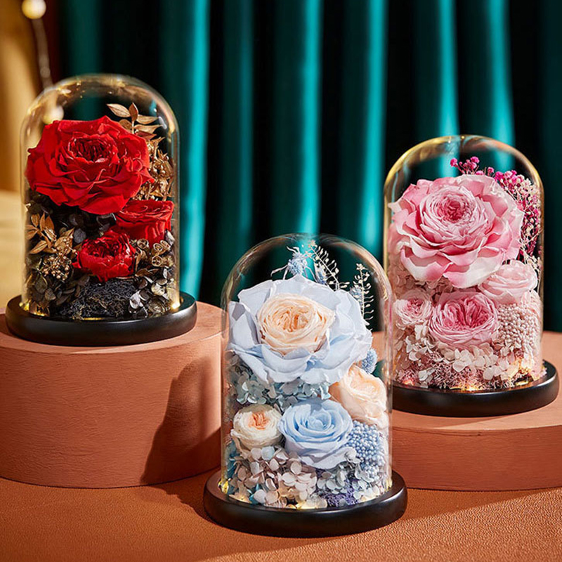 Eternal Rose Flower With Glass Cover Holder Gift Decoration Flower Valentines Mother Day Preserved Immortal Roses Flower Flor De Rosa Eterna Con Cubie