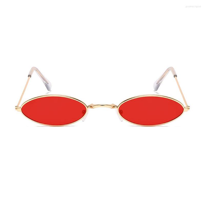 Sunglasses Sun Eyewear Stylish Practical Portable Beautiful Unisex Spectacles Metal Frame Fashionable Novel Style Travel Supply
Sunglasses Sun Eyewear Stylish Practical Portable Beautiful Unisex Spectacles Metal Frame Fashionable Novel Style Travel Supply