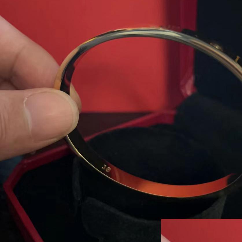 Charm Bracelets With Box Titanium Love Bangle Bracelet Woman Man Fashion Luxury Screw Bangles For Lover Gold Design Nail 4 Cz Size D Dhgdk
Charm Bracelets With Box Titanium Love Bangle Bracelet Woman Man Fashion Luxury Screw Bangles For Lover Gold Design Nail 4 Cz Size D Dhgdk