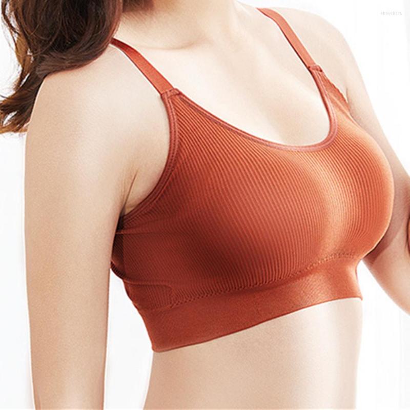 Bras Women Yoga Sports Bra Breathable Top Anti-sweat Shockproof Padded Fitness Brassie Underwear Push Up Wire Free Strap, Black
Bras Women Yoga Sports Bra Breathable Top Anti-sweat Shockproof Padded Fitness Brassie Underwear Push Up Wire Free Strap, Black