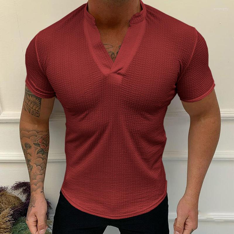 Men's T Shirts 2023 Summer Men's Clothing Fashion T-Shirt Solid V-Neck Pullover Tops Casual Short Sleeve Threaded Breathable Slim Tee, Black
Men's T Shirts 2023 Summer Men's Clothing Fashion T-Shirt Solid V-Neck Pullover Tops Casual Short Sleeve Threaded Breathable Slim Tee, Black