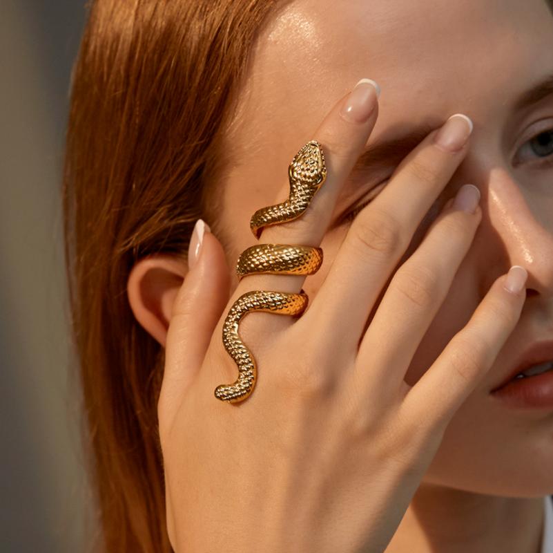 Cluster Rings Vintage Punk Exaggerated Spirit Snake For Women Men Ancient Jewelry Rock Animal Open Ring
Cluster Rings Vintage Punk Exaggerated Spirit Snake For Women Men Ancient Jewelry Rock Animal Open Ring