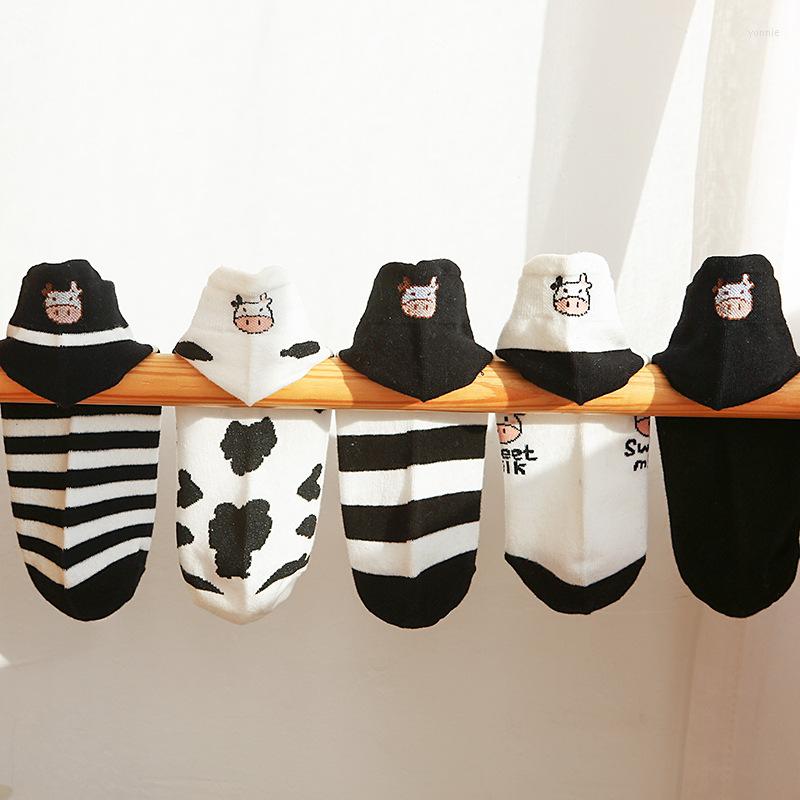 Women Socks Woman Cow Print Animal Cute Cartoon Black White Sports Cotton Casual Wholesale Summer Kawaii Gift For Girls Female
Women Socks Woman Cow Print Animal Cute Cartoon Black White Sports Cotton Casual Wholesale Summer Kawaii Gift For Girls Female