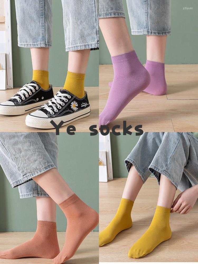 Women Socks 10 Pairs Of Spring/Summer Cotton Ladies' Thin Casual Monochrome Lovely Kawaii, Burgundy
Women Socks 10 Pairs Of Spring/Summer Cotton Ladies' Thin Casual Monochrome Lovely Kawaii, Burgundy