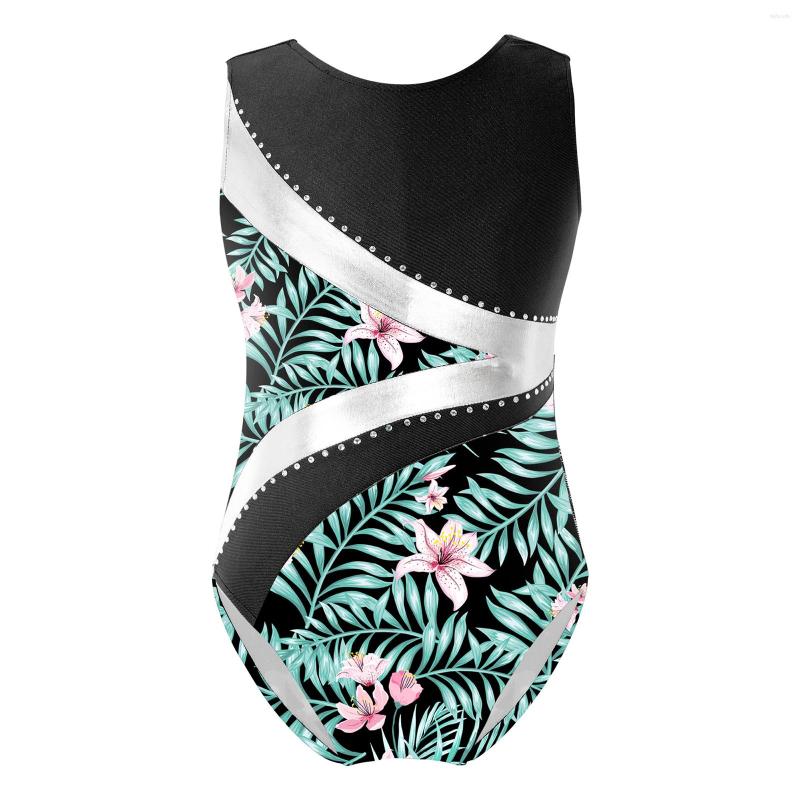Stage Wear Kids Girls Shiny Rhinestone Dance Leotards Sleeveless Ballet Bodysuit Dancewear Stylish Clothing, Black
Stage Wear Kids Girls Shiny Rhinestone Dance Leotards Sleeveless Ballet Bodysuit Dancewear Stylish Clothing, Black