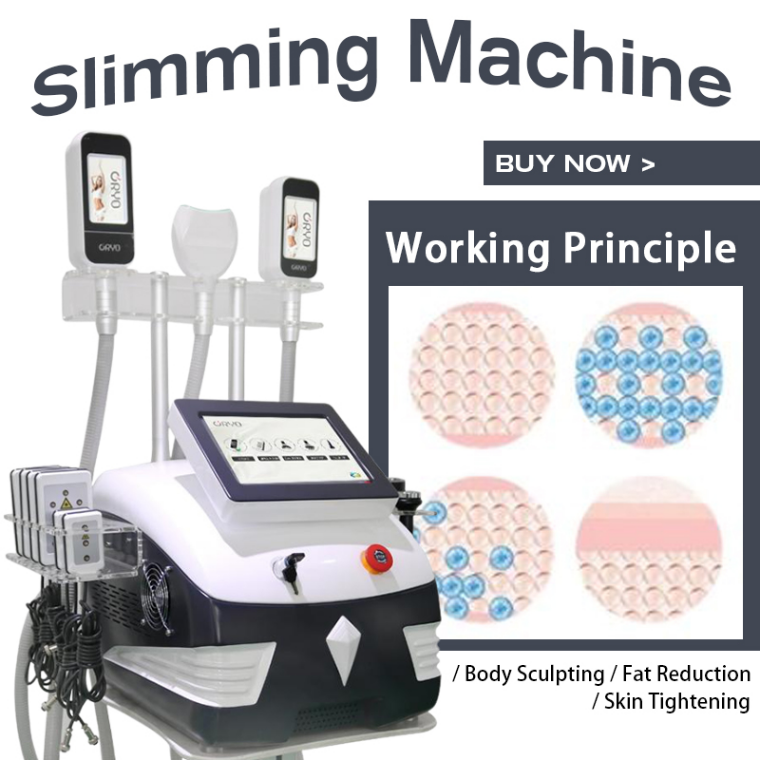 Slimming Machine Cryolipolysis Fat Removal Cryo Slim Machine Cool Cryotherapy With Cavitation And Lipolaser
Slimming Machine Cryolipolysis Fat Removal Cryo Slim Machine Cool Cryotherapy With Cavitation And Lipolaser