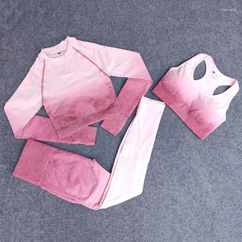 Active Sets Gym Set Female Fitness Clothing Ombre Yoga Sports Bra Seamless Leggings Long Sleeve Shirts Workout Sportswear Suit, Graywhite bra
Active Sets Gym Set Female Fitness Clothing Ombre Yoga Sports Bra Seamless Leggings Long Sleeve Shirts Workout Sportswear Suit, Graywhite bra