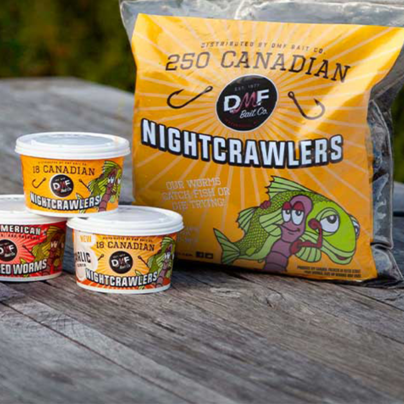 DMF Bait Co Live Canadian Night crawlers in Reusable Cooler 250 Count