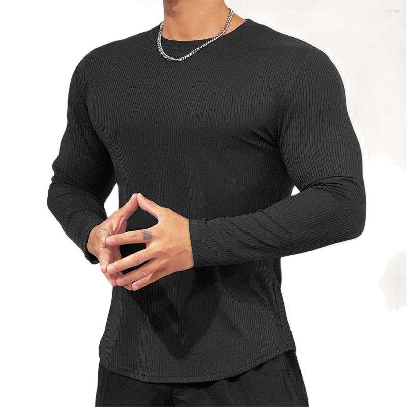 Men's T Shirts Black Stripe Fitness T-shirt Men Casual Long Sleeve Shirt Male Gym Bodybuilding Skinny Tees Tops Running Sport Training
Men's T Shirts Black Stripe Fitness T-shirt Men Casual Long Sleeve Shirt Male Gym Bodybuilding Skinny Tees Tops Running Sport Training