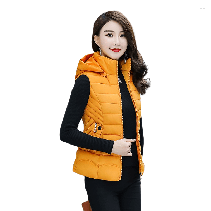 Women's Vests 2023 Down Cotton Waistcoat Women Short Outerwear Spring Autumn Winter Vest Female Korean Oversize Slim Thicken Parker Jacket, Black
Women's Vests 2023 Down Cotton Waistcoat Women Short Outerwear Spring Autumn Winter Vest Female Korean Oversize Slim Thicken Parker Jacket, Black