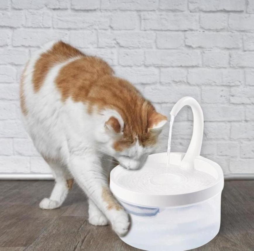 Pet Water Fountain Automatic Poweroff When Lack of Bird Dispenser Dog Drinking With LED Light water level 2203121685431
Pet Water Fountain Automatic Poweroff When Lack of Bird Dispenser Dog Drinking With LED Light water level 2203121685431