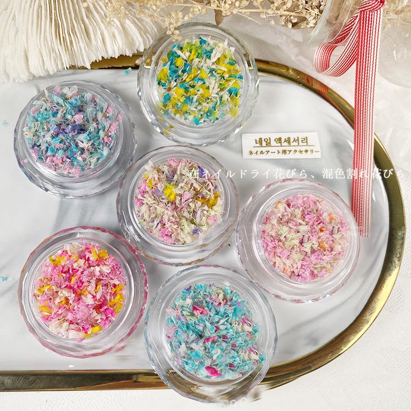 Nail Art Decorations Mixed Dried Flowers Dry Natural Floral DIY Press On Nails Parts Charms Accessories Designs
Nail Art Decorations Mixed Dried Flowers Dry Natural Floral DIY Press On Nails Parts Charms Accessories Designs