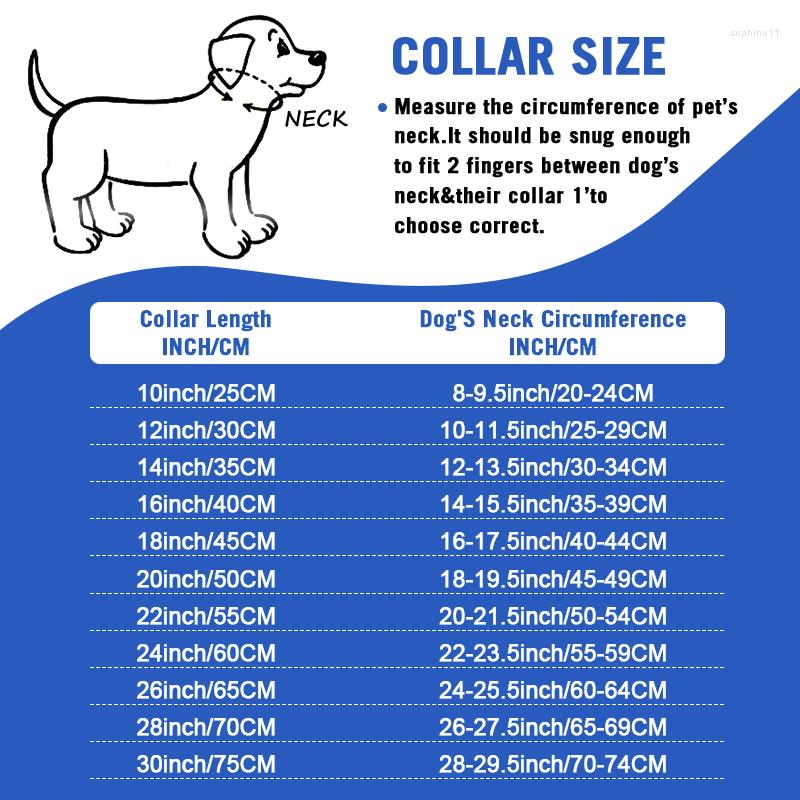 Dog Collars Dog Collars Durable Strong Collar With Metal Dogs Leash Set Stainless Steel Cuban Link Chain For Medium Large Walking Traning H250219