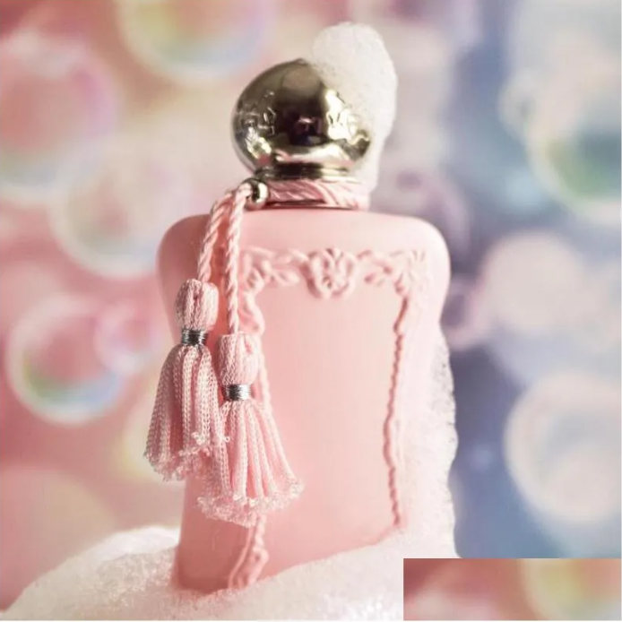 Factory Direct Perfumes For Women DELINA LA ROSEE Cologne 75ML Spray EDP Lady Fragrance Christmas Valentine Day Gift Long Lasting Pleasant Perfume
Factory Direct Perfumes For Women DELINA LA ROSEE Cologne 75ML Spray EDP Lady Fragrance Christmas Valentine Day Gift Long Lasting Pleasant Perfume