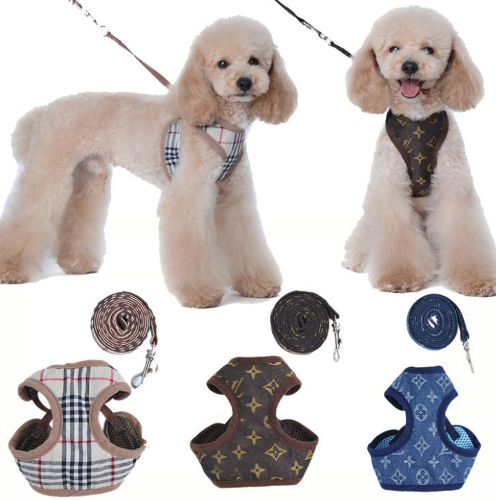 Fashion Designer Dog Harness and Leashes Set Classic Pattern Pets Collars Leash Breathable Mesh Pet Harnesses for Small Dogs Poodle Schnauzer B89
Fashion Designer Dog Harness and Leashes Set Classic Pattern Pets Collars Leash Breathable Mesh Pet Harnesses for Small Dogs Poodle Schnauzer B89