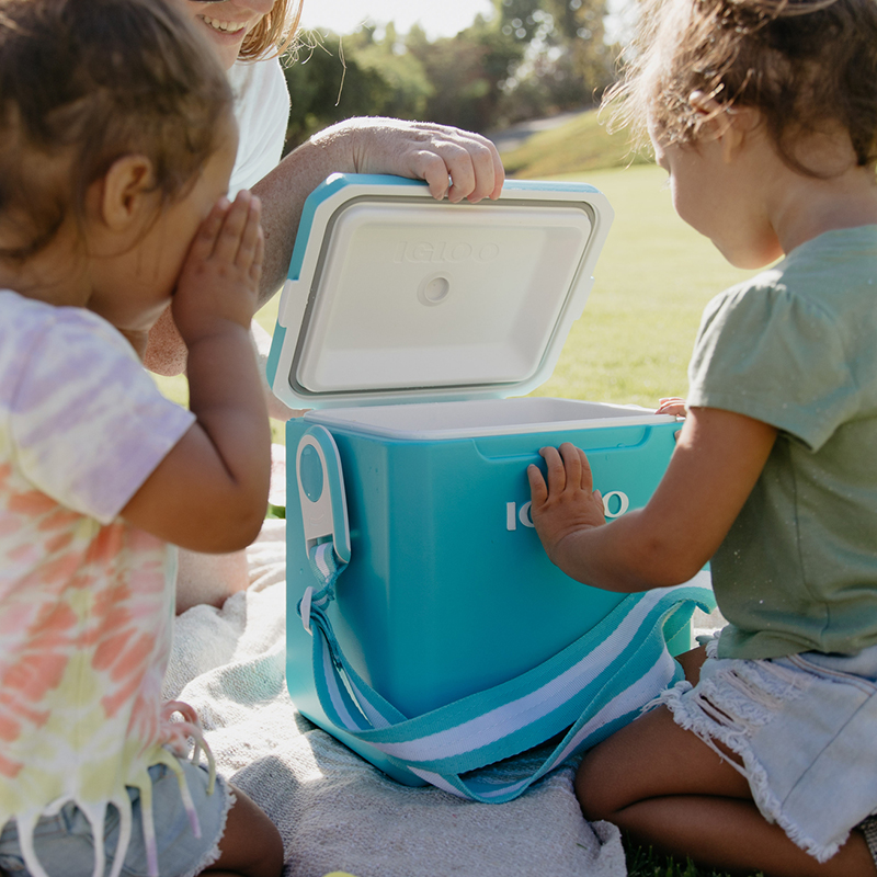 11 qt Tag A Long Hard Sided Cooler Turquoise compass