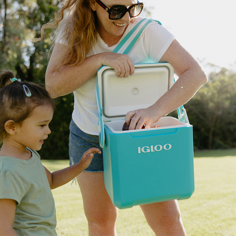 11 qt Tag A Long Hard Sided Cooler Turquoise compass