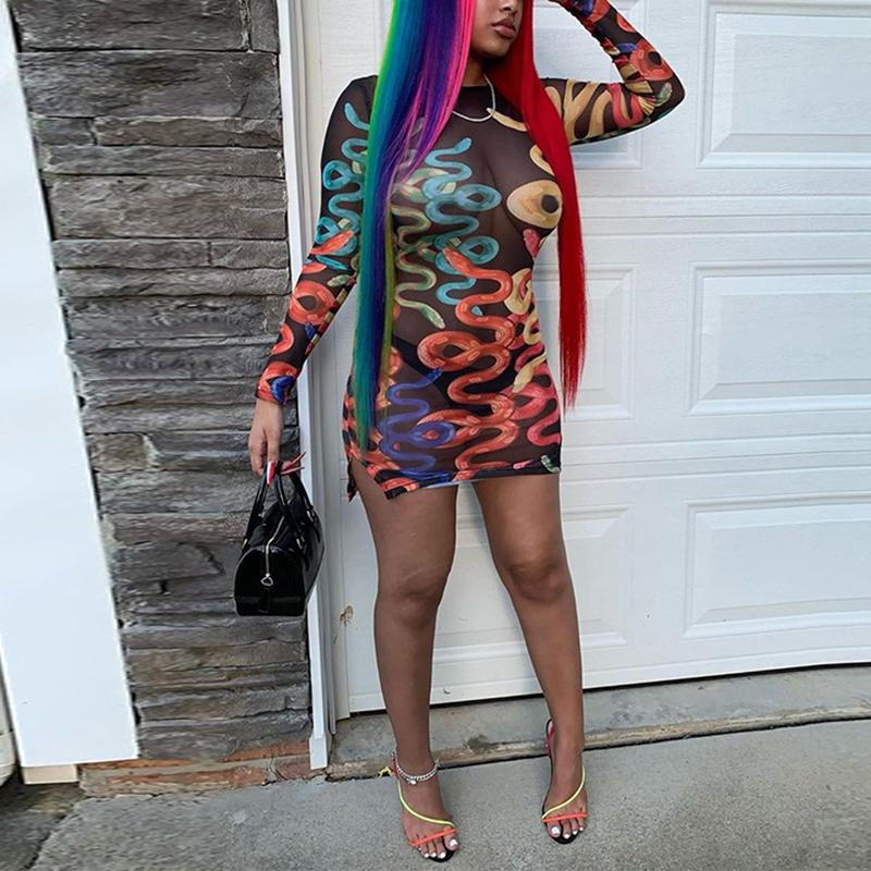 Casual Dresses 2023 Autumn See Through Mesh Snake Print Long-sleeved Women Party Dress Backless Side Slit Mini Sexy Clubwear
Casual Dresses 2023 Autumn See Through Mesh Snake Print Long-sleeved Women Party Dress Backless Side Slit Mini Sexy Clubwear