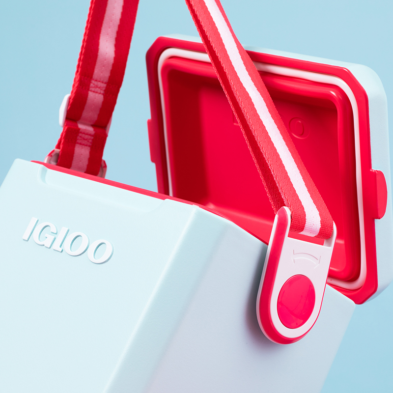 Igloo 11 qt Tag Along Too Hard Sided Cooler Mist and Watermelon compass