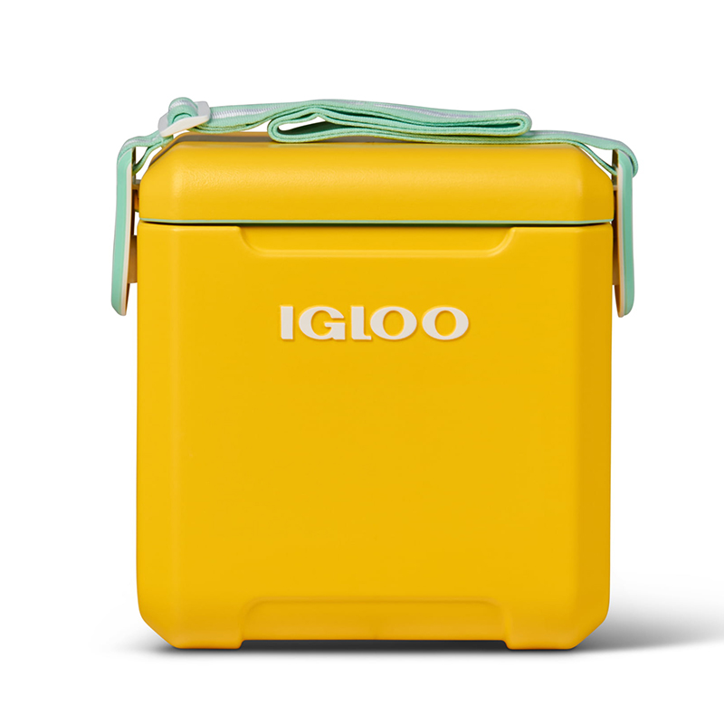 Igloo 11 qt Tag Along Too Hard Sided Cooler Mist and Watermelon compass