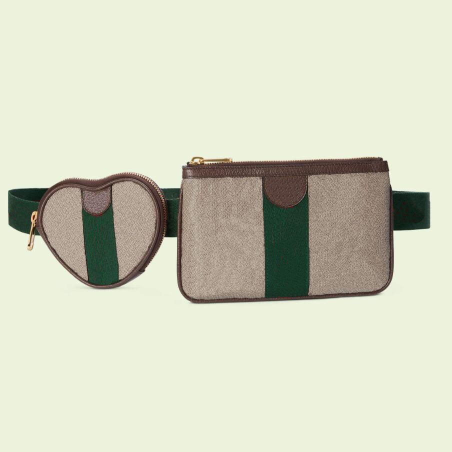 Fashion waist bag Women's zero purse Classic style design 2-piece leisure bag, Brown
Fashion waist bag Women's zero purse Classic style design 2-piece leisure bag, Brown