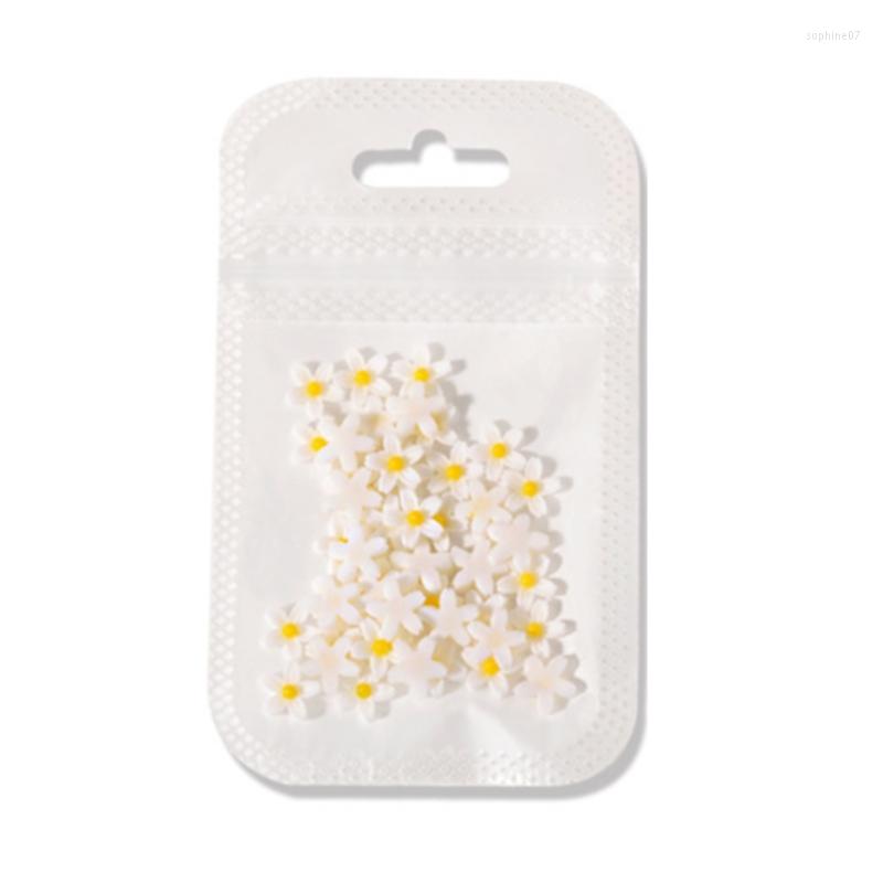 Nail Art Decorations 3d Flowers Charms Glitter Decals Flower Acrylic Stud For DIY Manicures Jewelry Accessories 2023
Nail Art Decorations 3d Flowers Charms Glitter Decals Flower Acrylic Stud For DIY Manicures Jewelry Accessories 2023